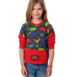 Schnittmuster-Kinder-Shirt-Raglan-Ben-und-Holly-1