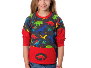 Schnittmuster-Kinder-Shirt-Raglan-Ben-und-Holly-1