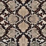 Schlangen Stoff French Terry K60111 - 5