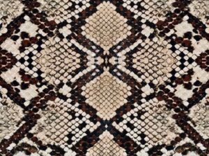 Schlangen Stoff French Terry K60111 - 5