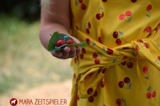 Schnittmuster Kleid Manja Zierstoff11