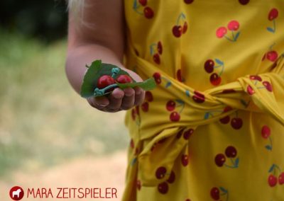 Schnittmuster Kleid Manja Zierstoff11