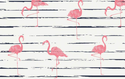 7956_002_Jersey Flamingo