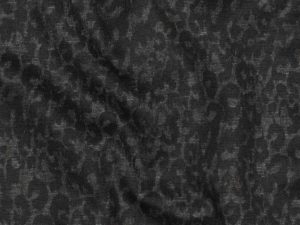 03744.001 Romanit Leo