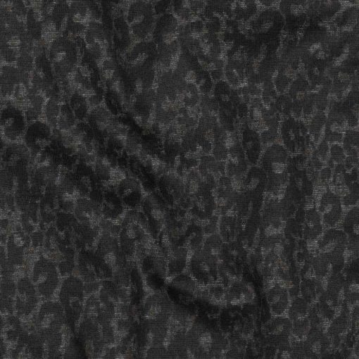 03744.001 Romanit Leo