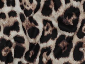 06563.001_Manolia Leo