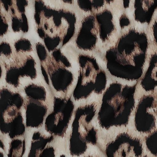 06563.001_Manolia Leo