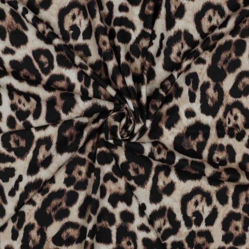 06563.001_Manolia Leo 06563.001_Manolia Leo