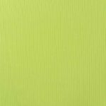 K47010-820-Rippenjersey Lime