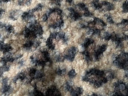 leo teddy - 1 leo teddy - 1